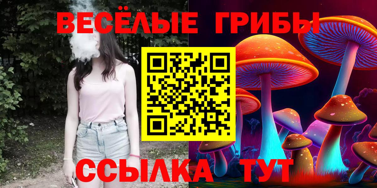 Галлюциногенные грибы Cubensis Скопин