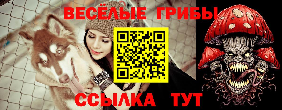 где найти наркотики  Псилоцибиновые грибы мицелий  Вход с VPN  Псилоцибиновые грибы Psilocybe  Скопин 